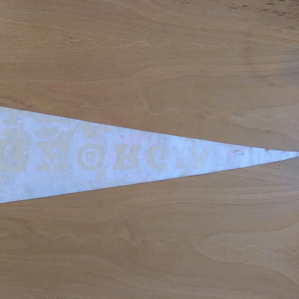 Vintage 60s Georgia Peach State Neon Pennant Flag